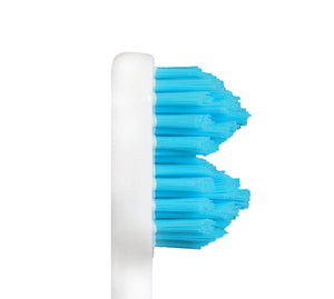 SPLASH BRUSH 2 170- STANDARD MEDIUM BRISTLES 3/6/9 OR 12 PACK