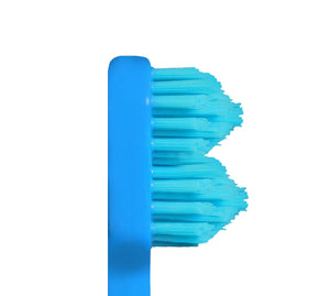 SPLASH BRUSH 2 170- STANDARD MEDIUM BRISTLES 3/6/9 OR 12 PACK