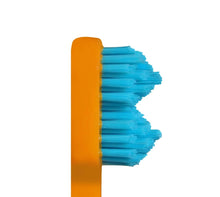 SPLASH BRUSH 2 170- STANDARD MEDIUM BRISTLES 3/6/9 OR 12 PACK