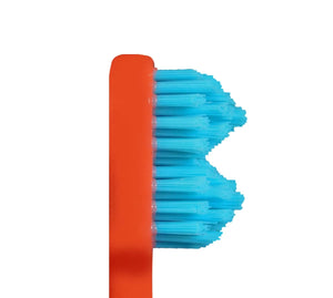 SPLASH BRUSH 2 170- STANDARD MEDIUM BRISTLES 3/6/9 OR 12 PACK