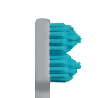 SPLASH BRUSH 2 170- STANDARD MEDIUM BRISTLES 3/6/9 OR 12 PACK