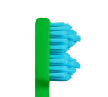 SPLASH BRUSH 2 170- STANDARD MEDIUM BRISTLES 3/6/9 OR 12 PACK