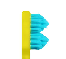 SPLASH BRUSH 2 170- STANDARD MEDIUM BRISTLES 3/6/9 OR 12 PACK