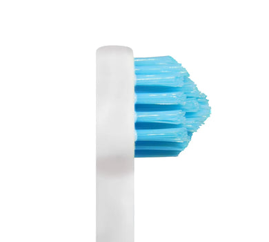 SPLASH BRUSH 170 - STANDARD MEDIUM BRISTLES 3/6/9 OR 12 PACK