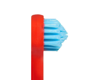 SPLASH BRUSH 170 - STANDARD MEDIUM BRISTLES 3/6/9 OR 12 PACK