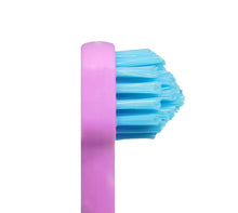 SPLASH BRUSH 170 - STANDARD MEDIUM BRISTLES 3/6/9 OR 12 PACK