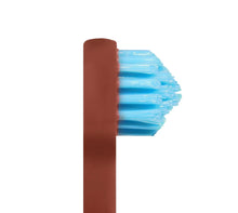 SPLASH BRUSH 170 - STANDARD MEDIUM BRISTLES 3/6/9 OR 12 PACK