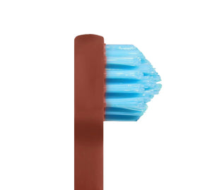 SPLASH BRUSH 170 - STANDARD MEDIUM BRISTLES 3/6/9 OR 12 PACK