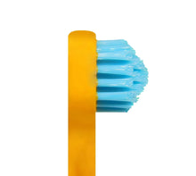 SPLASH BRUSH 170 - STANDARD MEDIUM BRISTLES 3/6/9 OR 12 PACK