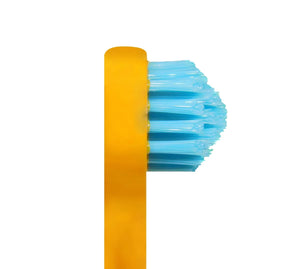 SPLASH BRUSH 170 - STANDARD MEDIUM BRISTLES 3/6/9 OR 12 PACK