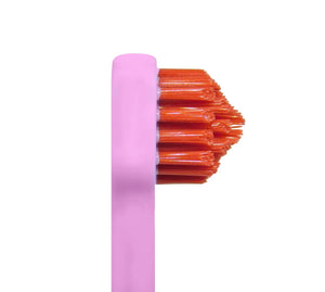 SPLASH BRUSH 200 - MEDIUM BRITLES 3/6/9 OR 12 PACK