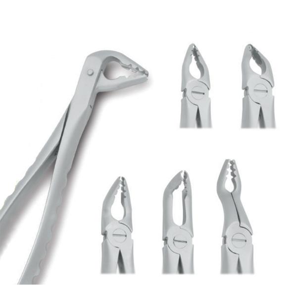 LENOX Prime Line Universal Atraumatic Extracting Forceps. Set of 6. Forceps