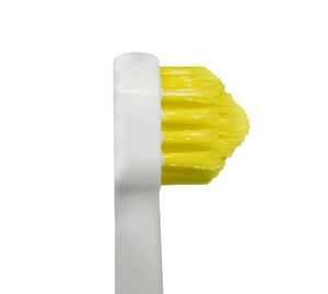 SPLASH BRUSH 120 - MEDIUM BRITLES 3/6/9 OR 12 PACK